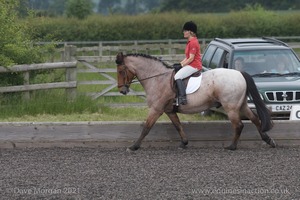 ISIS Dressage Challenge 2008